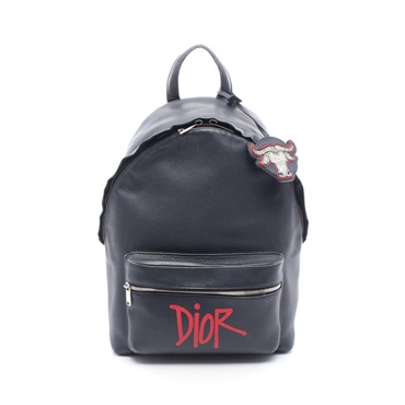 Christian DIOR Shawn Stussy RIDER Rucksack Backpack 1ESBA088GDS_H00E leather