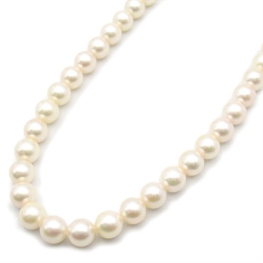 JEWELRY Pearl Necklace Silver925 Pearl White Used women