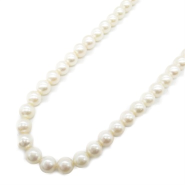JEWELRY Pearl Necklace Silver925 Pearl White Used women