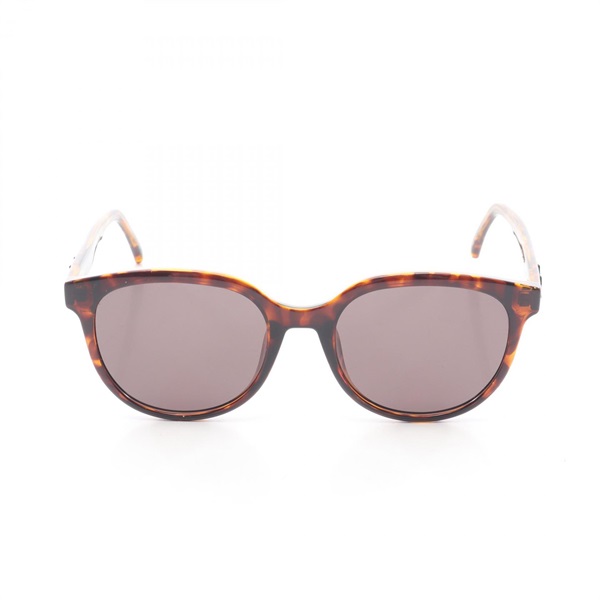 SAINT LAURENT PARIS sunglasses SL317/F Plastic Brown Used Women