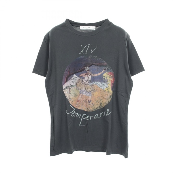 Christian Dior Printed Crew neck T-shirt 8CP3503WF432 cotton Gray Used size S