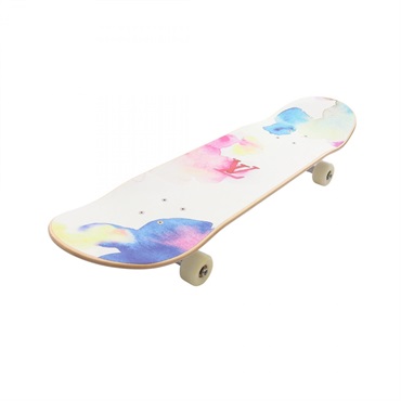 LOUIS VUITTON Skateboard Monogram Watercolor GI0622 Wood White Used unisex